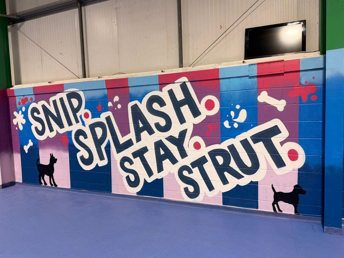 The Mighty Mutt House indoor space with a bright painted dog mural on the wall