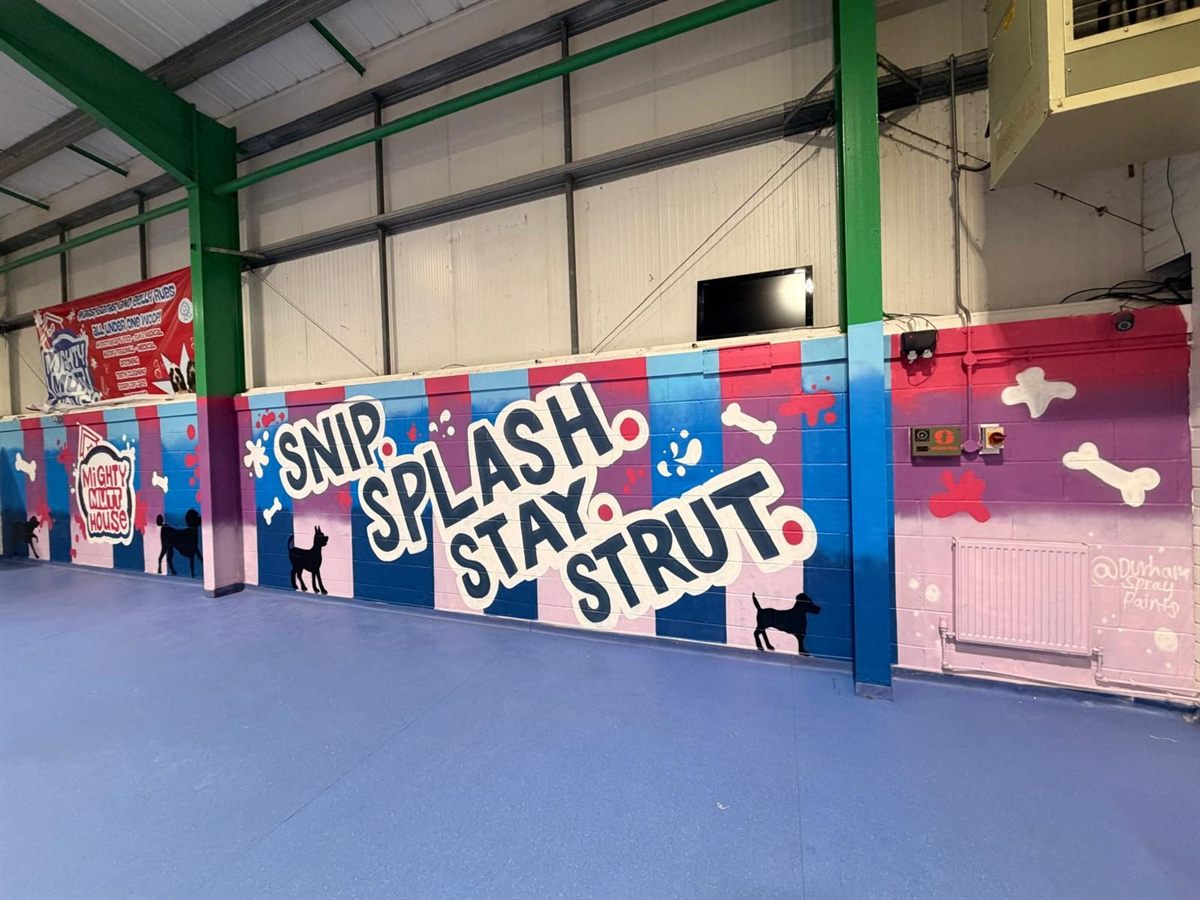 The indoor arena seen from the side, with the Snip Splash Stay Strut wall and the Mighty Mutt House banner