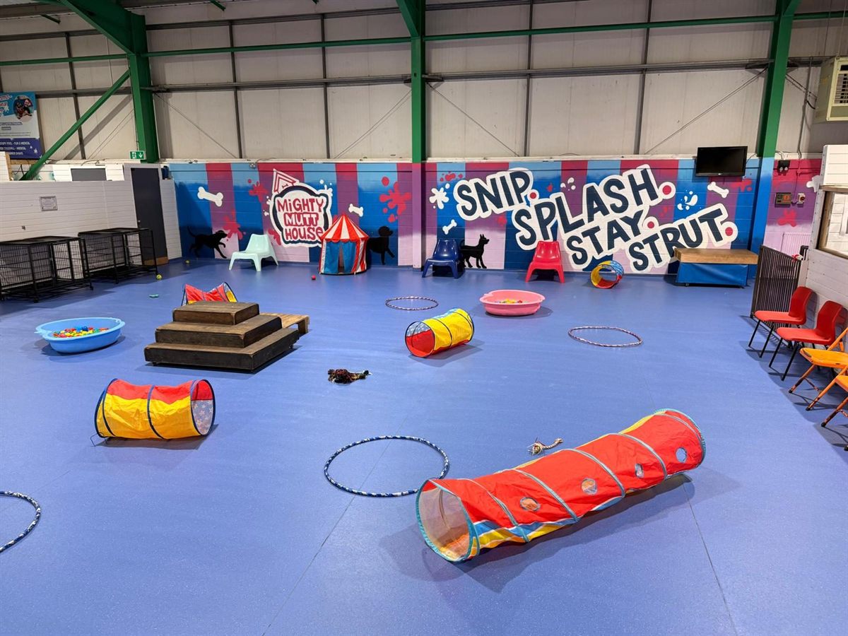The Fluffies and Tumble Pups area: an indoor floor with tunnels, hoops, a ramp and small toys