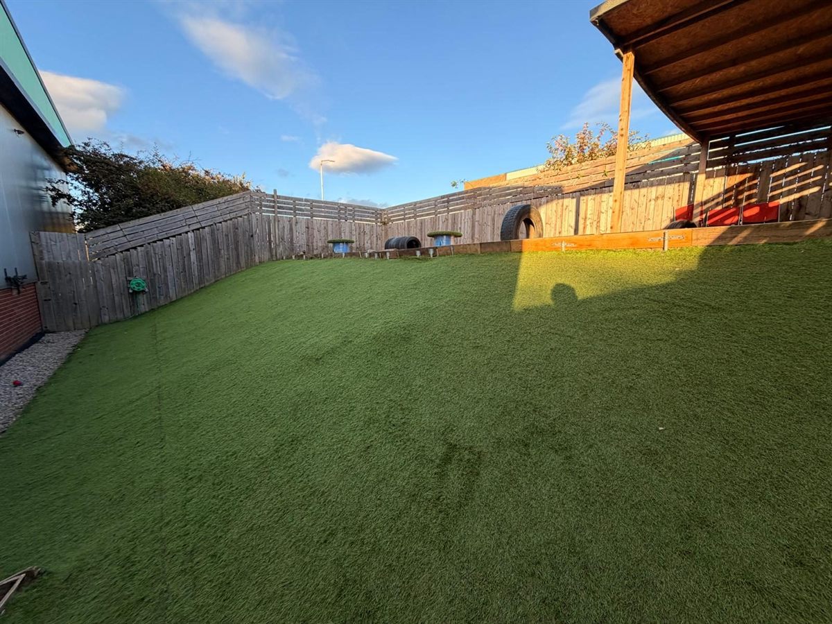 The outdoor paddock with a large artificial grass lawn and a covered area