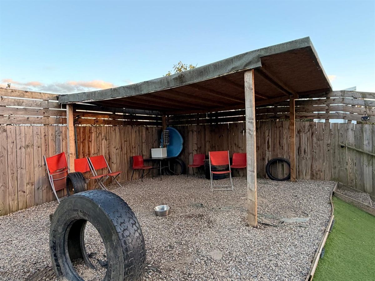 A shaded shelter in the outdoor paddock with seating and a large tyre