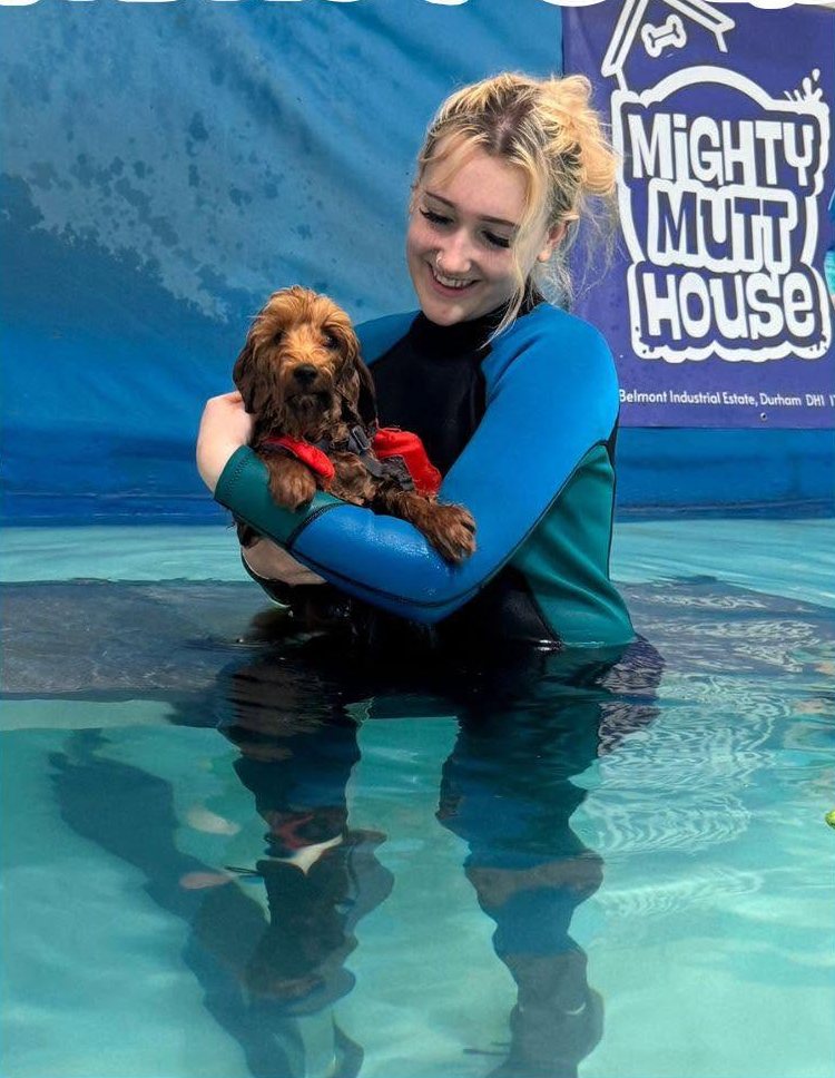 A smiling member of the hydrotherapy team holding a red cocker spaniel puppy in a life jacket in the pool