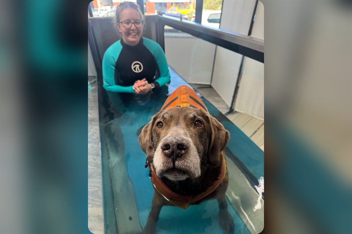 Clara smiling beside a chocolate Labrador in an orange life jacket on the water treadmill at Mighty Mutt House, Durham