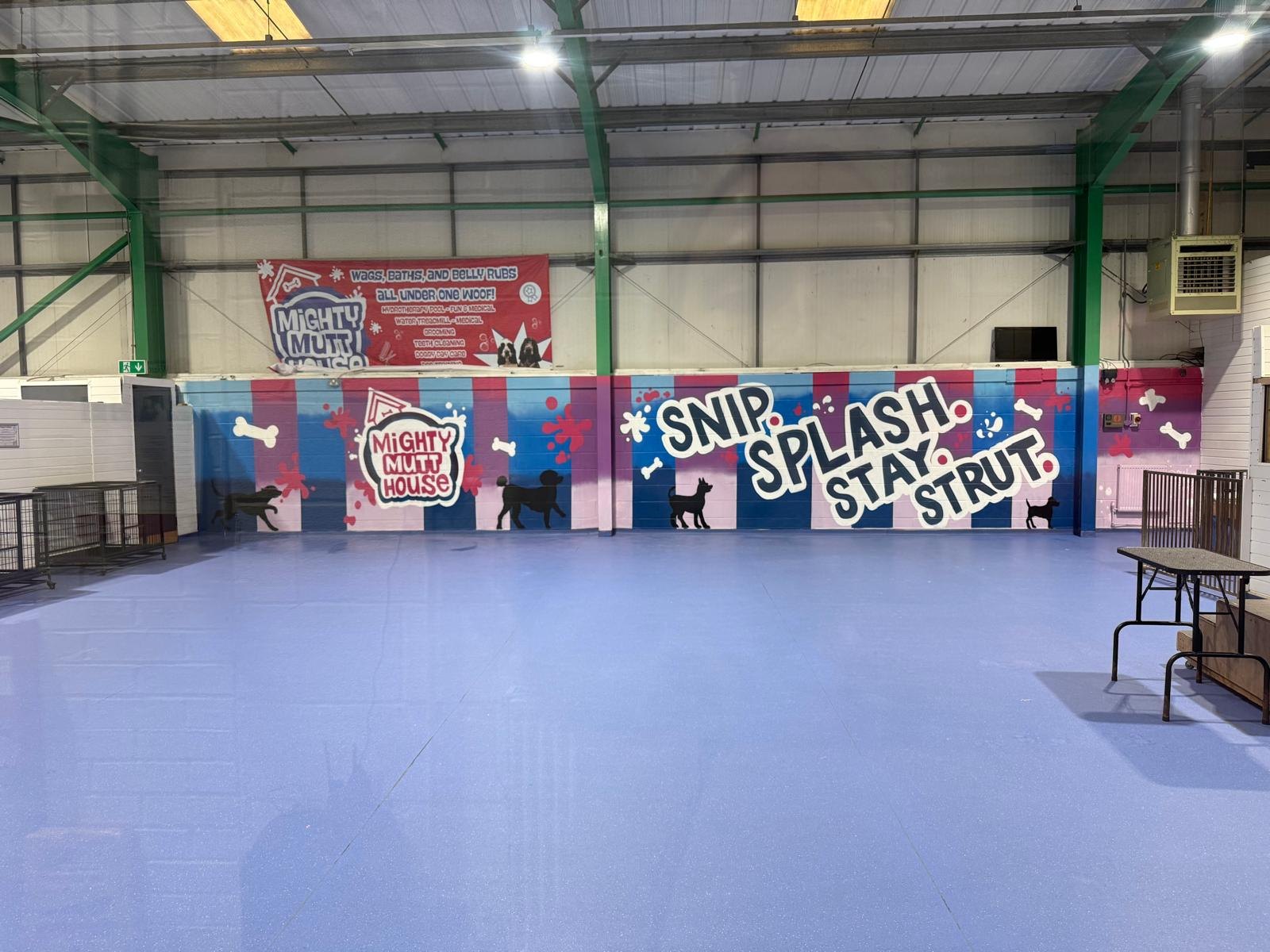 The finished arena wall in the day care area: the painted Mighty Mutt House logo, the Snip Splash Stay Strut slogan and silhouettes of dogs on a pink, purple and blue striped wall